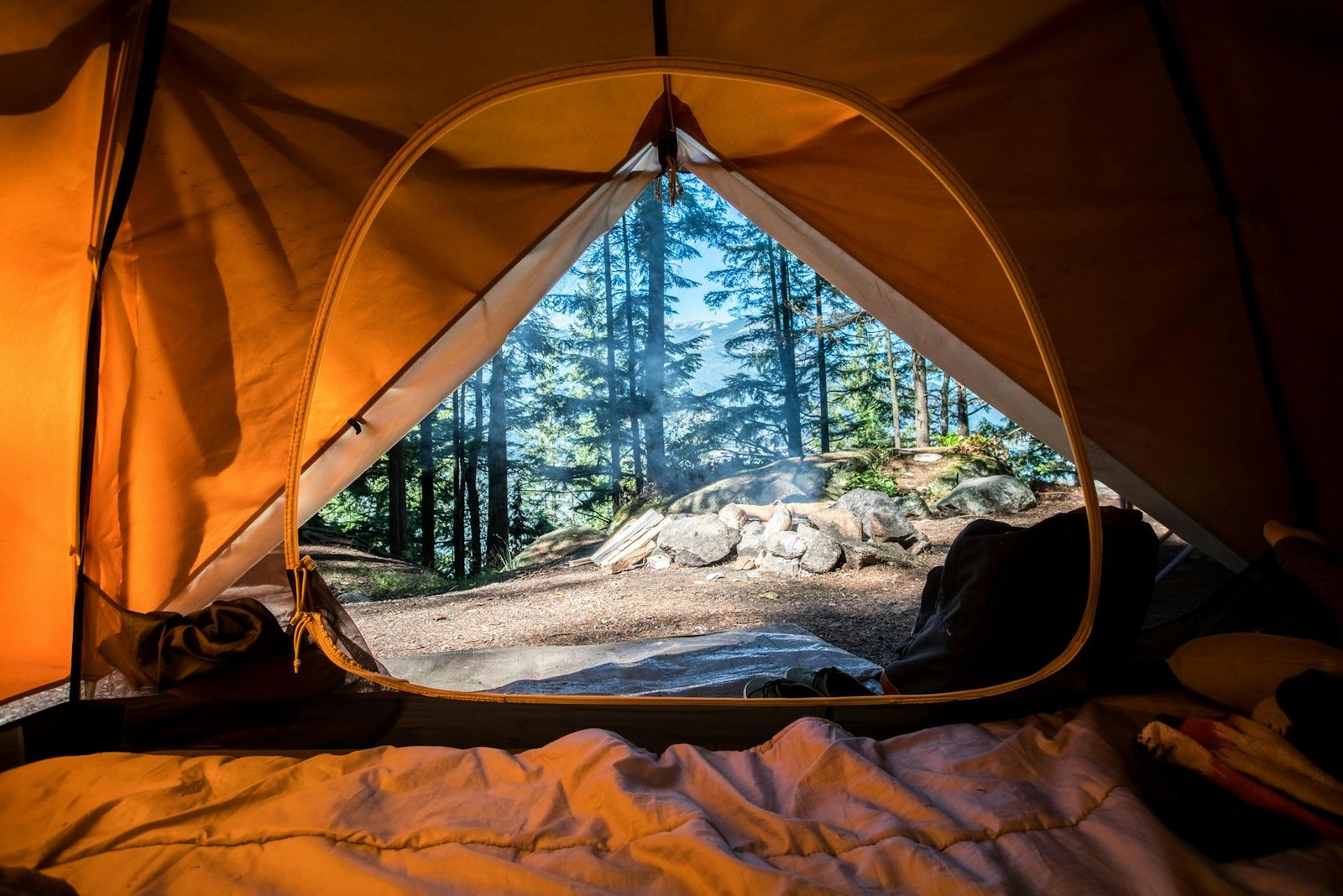 View from inside a tent toward a forest campsite